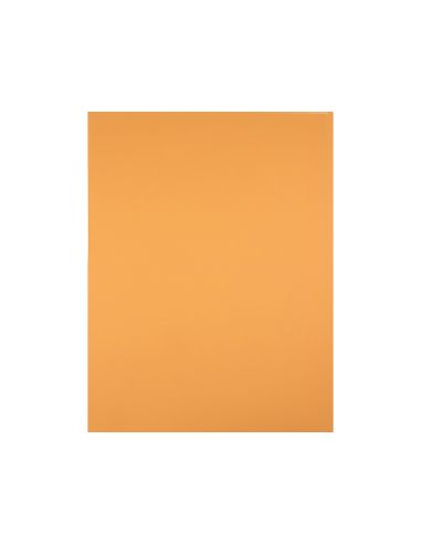 Cartulina Liderpapel 50X65 Cm 240 G/M2 Avellana