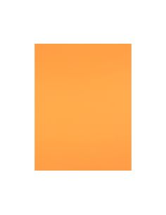 Cartulina Liderpapel 50X65 Cm 240 G/M2 Nectarina 2