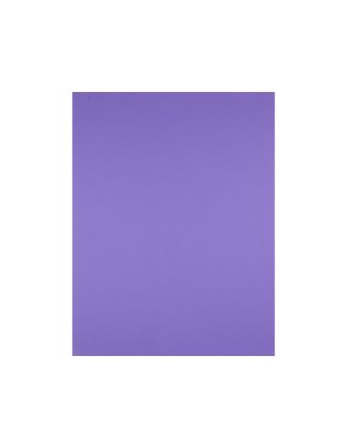 Cartulina Liderpapel 50X65 Cm 240 G/M2 Violeta