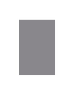 Cartulina Liderpapel 50X65 Cm Gris 240 Gr Unidad 2