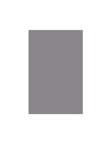 Cartulina Liderpapel 50X65 Cm Gris 240 Gr Unidad