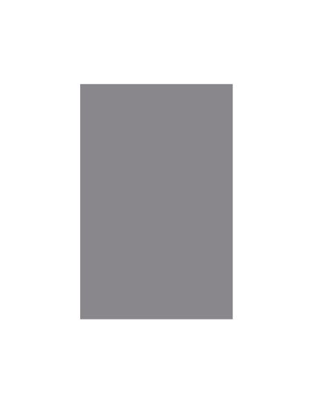 Cartulina Liderpapel 50X65 Cm Gris 240 Gr Unidad