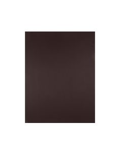 Cartulina Liderpapel 50X65 Cm Marron Oscuro 240 Gr Unidad 2