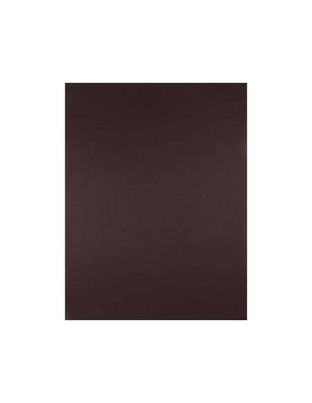 Cartulina Liderpapel 50X65 Cm Marron Oscuro 240 Gr Unidad