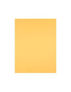 Cartulina Liderpapel 50X65 Cm Oro 240 Gr Unidad 2