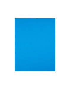Cartulina Liderpapel 50X65 Cm 240G/M2 Celeste 2