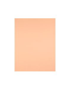 Cartulina Liderpapel 50X65 Cm 240G/M2 Sepia 2