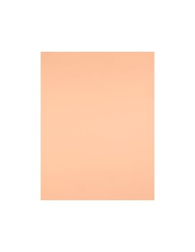 Cartulina Liderpapel 50X65 Cm 240G/M2 Sepia