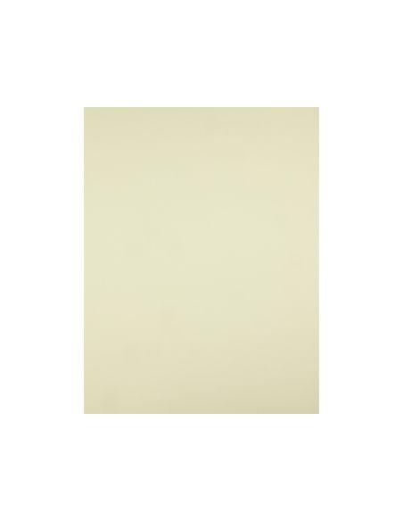 Cartulina Liderpapel 50X65 Cm 240G/M2 Amarillo