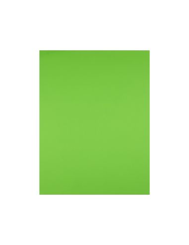 Cartulina Liderpapel 50X65 Cm 240G/M2 Verde Hierba