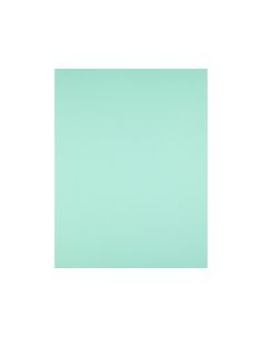 Cartulina Liderpapel 50X65 Cm 240G/M2 Verde 2