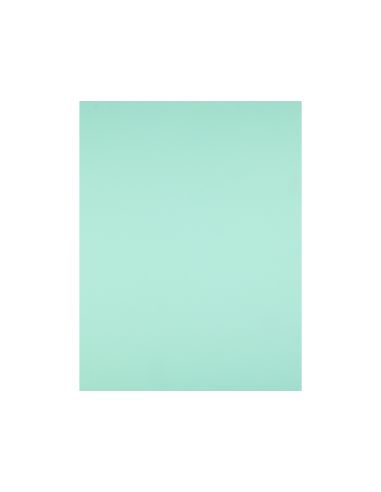 Cartulina Liderpapel 50X65 Cm 240G/M2 Verde