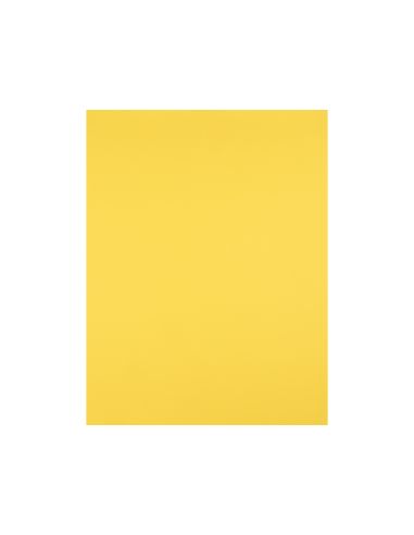 Cartulina Liderpapel 50X65 Cm 240G/M2 Amarillo Limon