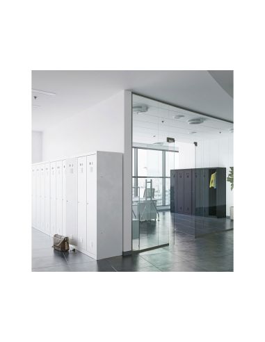 Taquilla Metalica Rocada 300 1 Modulo Puerta Gris 330X500X1800 Mm