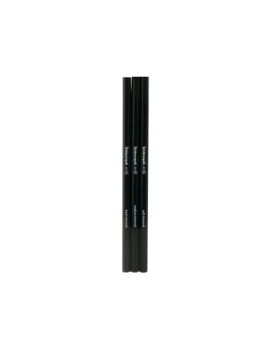 Lapices De Carboncillo Para Esbozos Liderpapel Caja De 3 Unidades Con Diferentes Durezas Certificado Fsc|Libreriasalesiana