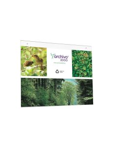 Expositor Mural Archivo 2000 Din A3 Horizontal Con Taladros Espesor 2 Mm Cristal Transparente 420X325 Mm