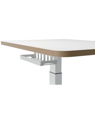 Mesa Leitz Ergo Regulable En Altura Electricamente Tablero 80X60 Cm Con Usb-C Y Usb 5V Color Blanco