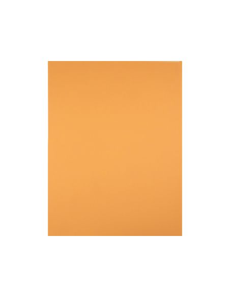 Cartulina Liderpapel 50X65 Cm 180 Gr Avellana Paquete De 25 Hojas