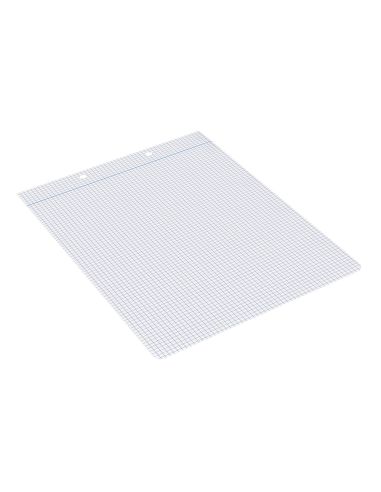 Recambio Liderpapel Cuarto Apaisado 100 Hojas 60Gr Cuadro 3 Mm 2 Taladros Con Margen