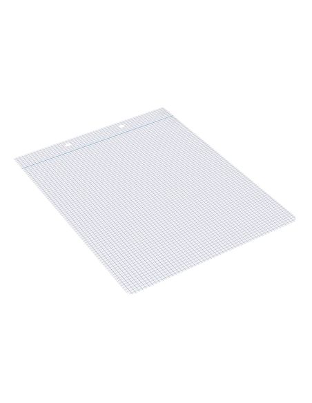 Recambio Liderpapel Cuarto Apaisado 100 Hojas 60Gr Cuadro 3 Mm 2 Taladros Con Margen