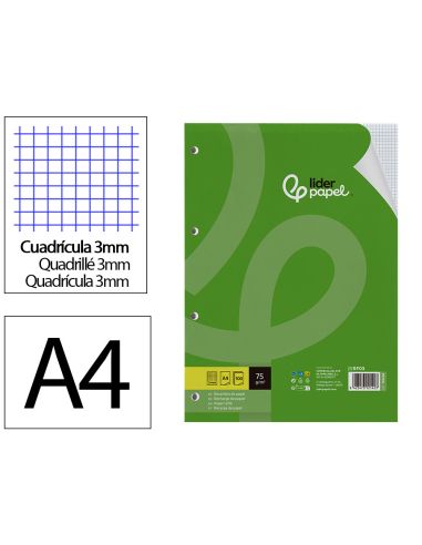 Recambio Liderpapel Din A4 100 Hojas 75 Gr Cuadro 3 Mm Con Margen 4 Taladros