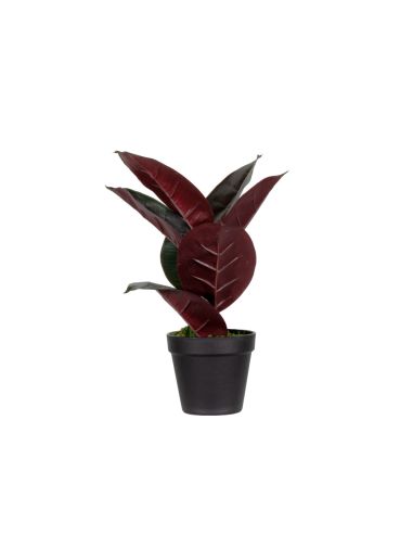 Planta Artificial Paperflow Ficus Elastica 36 Cm