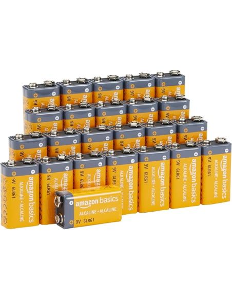 Pilas Alcalinas De 9 V, 9 V/6Lr61 Paquete De 24 Amazon