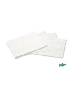 Bolsa 5 Hojas De Recambio Para Borrador 15M/15Mg