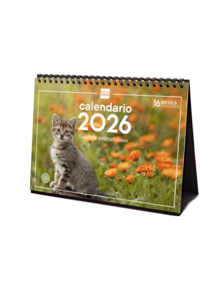 Calendario Sobremesa 2026 Gatitos