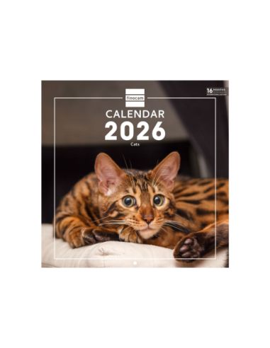 Calendario Imágenes De Pared Internacional 2026 Cats