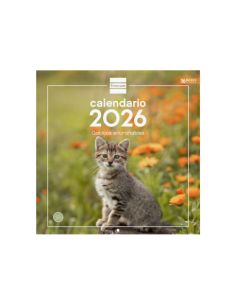 Calendario Pared 30X30 2026 Gatitos