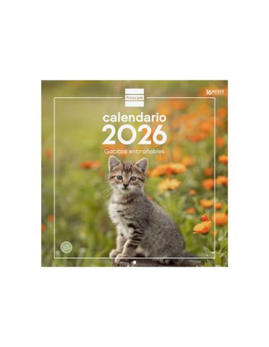 Calendario Pared 30X30 2026 Gatitos