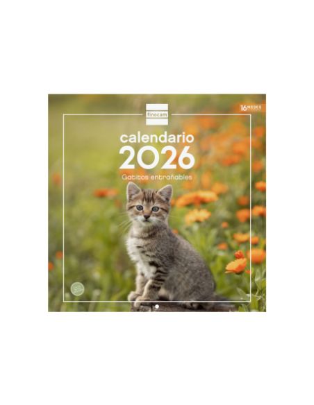 Calendario Pared 30X30 2026 Gatitos