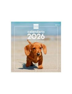 Calendario Pared 30X30 2026 Cachorros