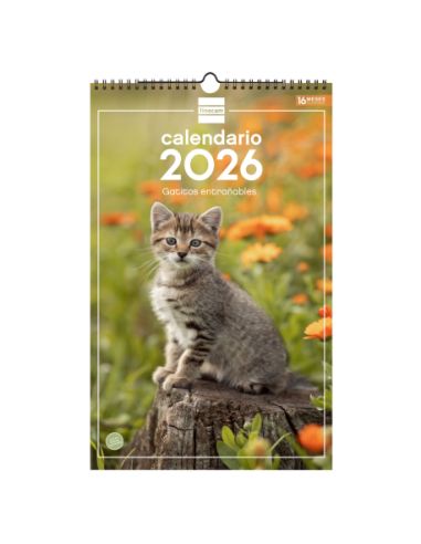 Calendario Pared Espiral 25X40 2026 Gatitos