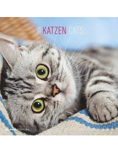 Calendario 2024 - Cats (30X30) (103533)