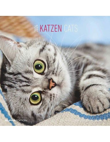 Calendario 2024 - Cats (30X30) (103533)