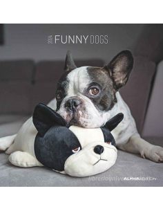 Calendario 2024 - Funny Dogs (30X30) (103550)
