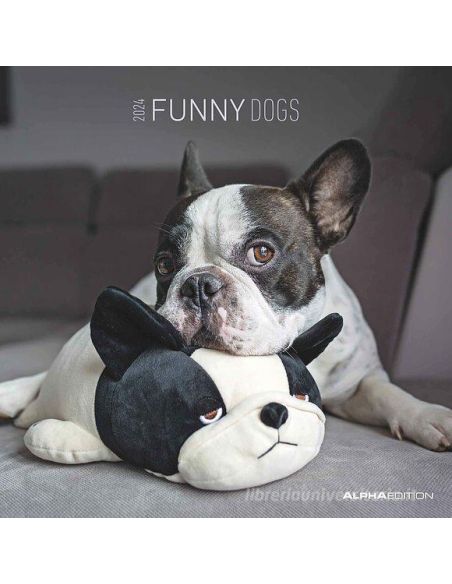 Calendario 2024 - Funny Dogs (30X30) (103550)