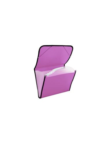Carpeta Clasificadora Plus Pp 12 Dep. Goma Trals. Fusia