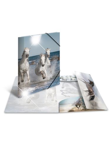 Carpeta Gomas Con Solapa Extrabrillo Caballos