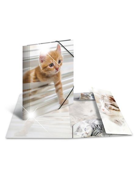 Carpeta Gomas Con Solapa Extrabrillo Gatos