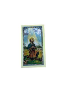 Estampa Plastificada C/Oracion 6,5X11Cm San Isidro