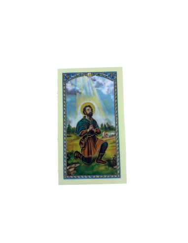 Estampa Plastificada C/Oracion 6,5X11Cm San Isidro