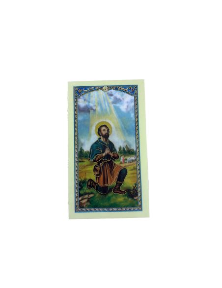 Estampa Plastificada C/Oracion 6,5X11Cm San Isidro