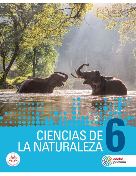 Ciencias De La Naturaleza 6