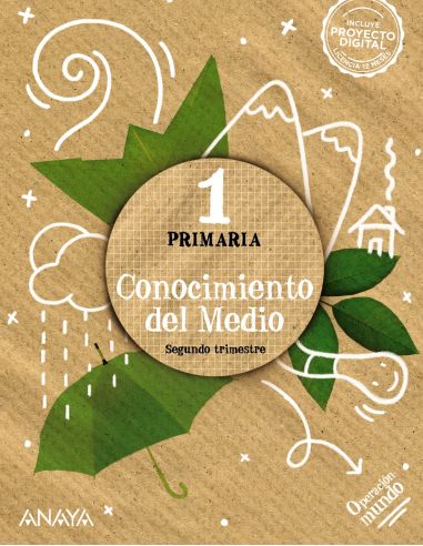 Conocimiento Del Medio 1. Cuadrícula.