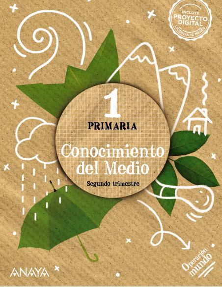 Conocimiento Del Medio 1. Cuadrícula.