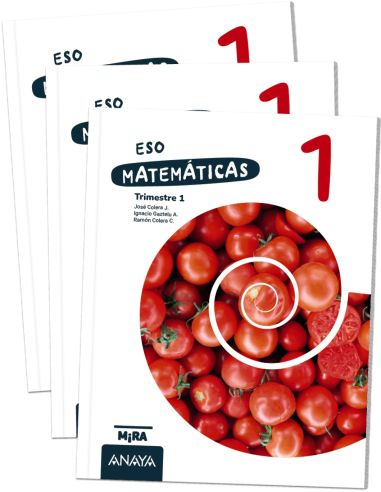 Matemáticas 1