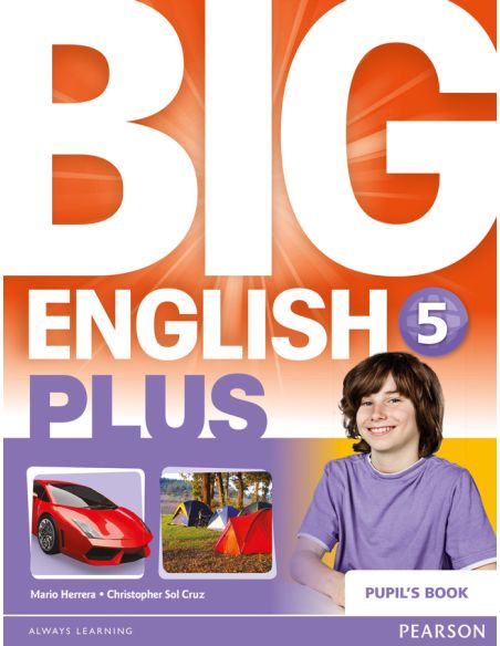 Big English Plus 5 Activity Book
